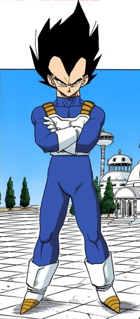 Featured image of post How Tall Is Vegeta Dbs