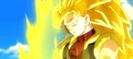 Super Saiyan 3 Xeno Gohanks