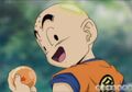 Krillin in the opening