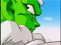 Piccolo