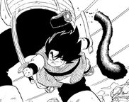 Vs. Vegeta Ōzaru (manga)