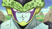 Broly - Perfect Cell