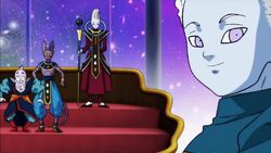 Image Trissnew Png Great Multiverse Wiki Fandom Powered - Dragon Ball Super  Grand Priest Png, Transparent Png - 576x1077(#6857394) - PngFind