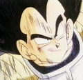 Vegeta25