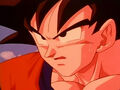 Dbz241(for dbzf.ten.lt) 20120403-17000037