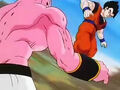 Dbz248(for dbzf.ten.lt) 20120503-18305632