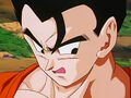 Dbz248(for dbzf.ten.lt) 20120503-18221161