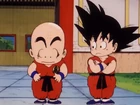 Krillin and Goku in Turtle School uniform
