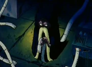 Krang coleta informação