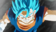 Vegetto Blue Punch