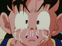 Gohan cries about his father