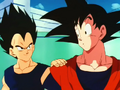 Vegeta and Goku