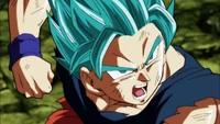 Super Saiyan Blue Goku with Super Saiyan 2 hair in the anime