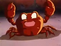 Oolong as a crab