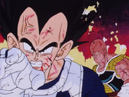 Vegeta with an unnamed Saiyan