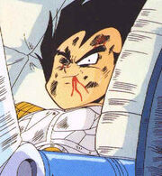 Vegeta6