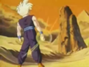 Gohan en elñ desierto oeste