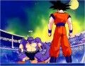 Goku vs maraikoh