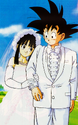 Goku and Chi-Chi getting married