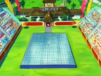 Jeu Dragon Ball Z The Legend Is Here Karate Arena - Occasion