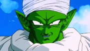 Piccolo10YearsLater