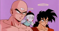 Tien, Chiaotzu and Yamcha ask King Kai if the wish was made