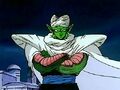 Piccolo