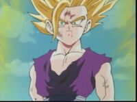 Gohan furioso