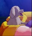 Bee in Kakarot