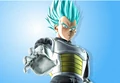 Super Saiyan Blue Vegeta