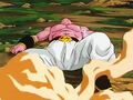 Dbz248(for dbzf.ten.lt) 20120503-18294023