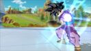 Gohan Flare-up Limit