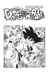 Goku vs. Kuririn, Part 2