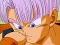 Trunks