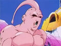 Dbz245(for dbzf.ten.lt) 20120418-17371522