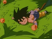 Goku sai com Shenlong
