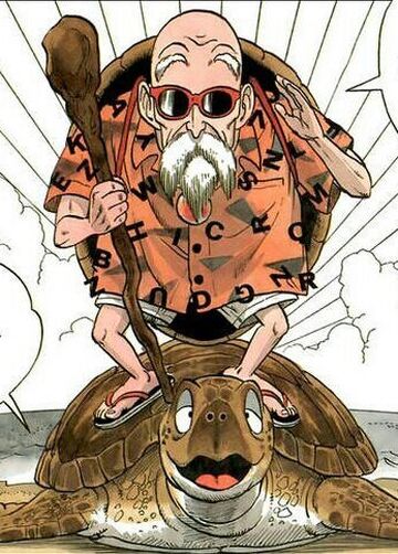 Turtle Old Man 