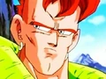 Android 16 looks around