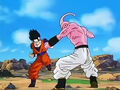 Dbz248(for dbzf.ten.lt) 20120503-18282585