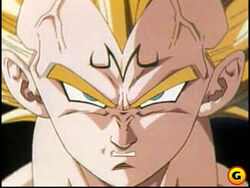 Dragon Ball Z: Ultimate Battle 22, Dragon Ball Wiki Brasil