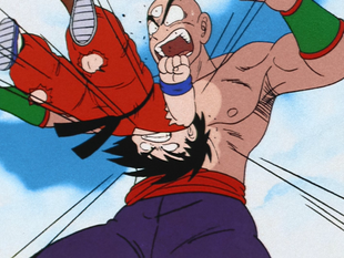 GokuVsTien.Ep.101.png