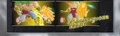 Broly SS3 Fight