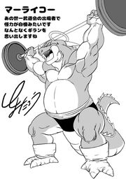 Maraikon - Toyotaro