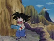 Goku and Krillin make a delivery up a big mountain