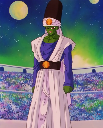 Pikkon Dragon Ball Wiki Fandom