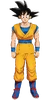 Design of Goku