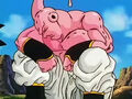 Dbz248(for dbzf.ten.lt) 20120503-18190451