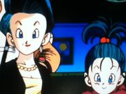 Bulma and Bra