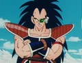 Raditz12.jpg (62 kio)