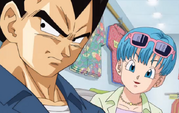 Bulma and Vegeta